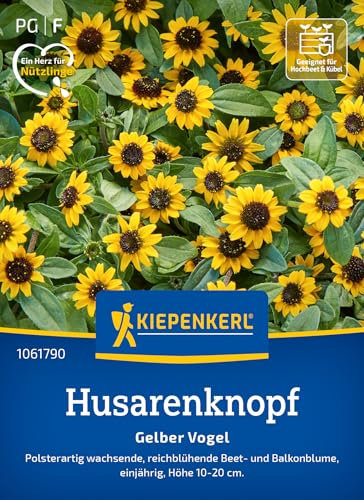 Kiepenkerl Husarenknopfsamen Gelber Vogel 1061790 - polsterartig wachsende, reichblühende Beet- und Balkonblume - Pflanzensamen, Blumenmischung, Saatgut