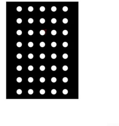 Antigras-Mulchfolie aus Polyethylen, perfekte Bodendeckerlösung für Gemüse-, Blumen- und Obstgärten (10 m x 0,95 m)