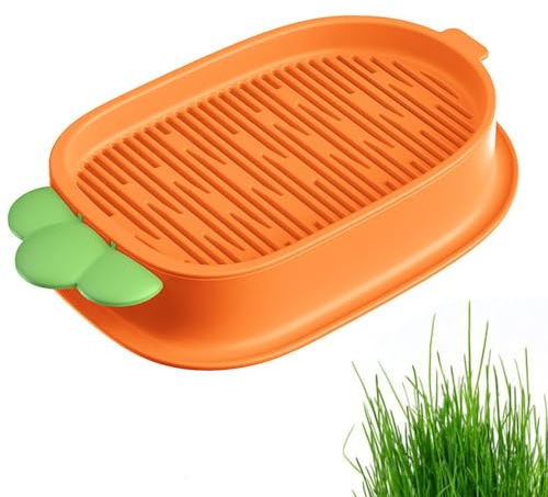 Armastuse Set di 1 contenitori per erba di gatto idroponica, comodi per gatti e animali domestici, Kit Erba Gatta, Kit per la Coltivazione di Erba Gatta