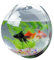 Candora Boule aquarium à accrocher au mur - Acrylique - Décoration