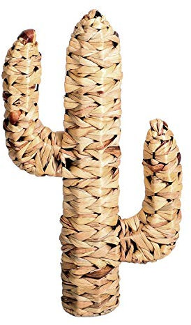 NATURAL LIVING Cactus de Jacinto de Agua 45 x 25 x D9 cm
