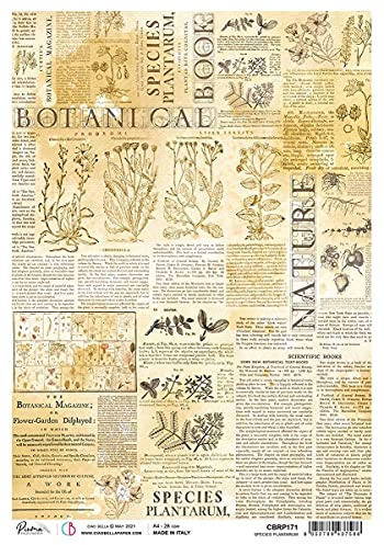 Ciao Bella Rice Paper, Species Plantarum Sign of The Times, OSFA