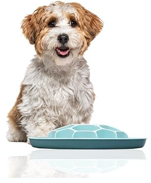 Rohrschneider Antischlingnapf Sporty Hunde | Antischlingnapf Sporty Katze | Futternapf Sporty Katze | Futternapf Sporty Hund | Fressnapf Sporty Hund | Fressnapf Sporty Katze (Blau)