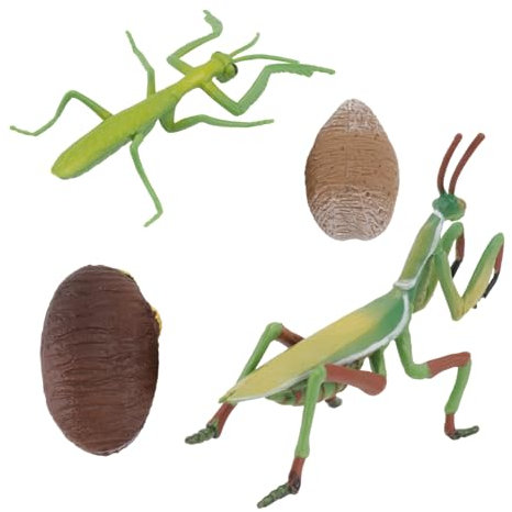 HONITANO Giocattolo Animale Simulato Figurina Mantide Stampo Cavalletta Giocattoli Educativi Per Asilo Statuette Realistico