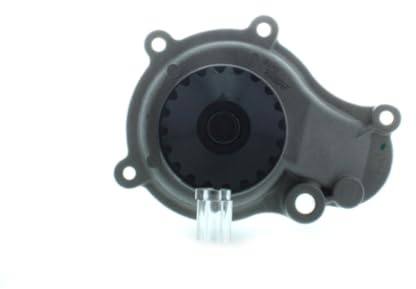 AISIN WPA-009 Kühlung