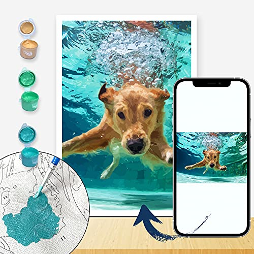 LINEPARK Personalisiertes individuelles Malen nach Zahlen für Erwachsene, Malsets für Haustiere und Porträts, Geschenke -Machen Sie Ihre eigene Foto-Zeichnungsfarbe und Pinsel (Mit Rahmen 30x40cm)