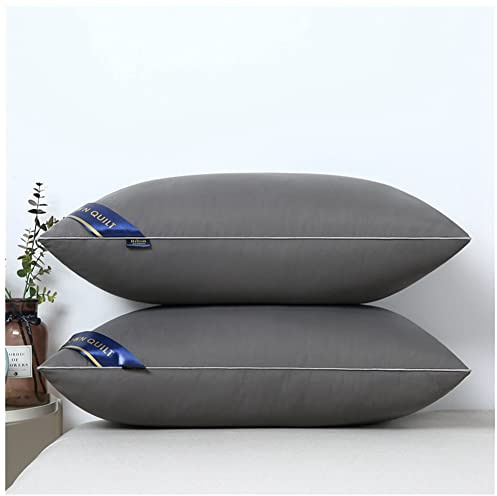 MISSMAO Oreiller 48x74 Lot de 2 pour Le Lit Coussins pour Dormir et Décoratifs Antiallergiques Anti-Acariens et Rafraichissant Rectangulaire Oreillers de Lit,Gris,48x74cm(700g)