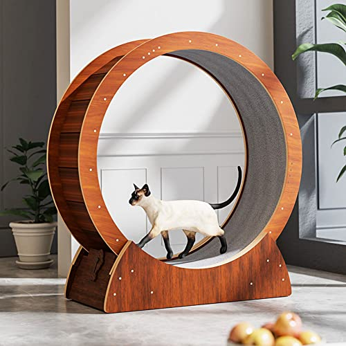 Laufrad für Katzen, Laufrad für Katzen, Laufband mit Laufband mit Teppichboden, Gewichtsverlustgerät für Katzen, Haustierspielzeug, für Katzen und kleine Hunde,L