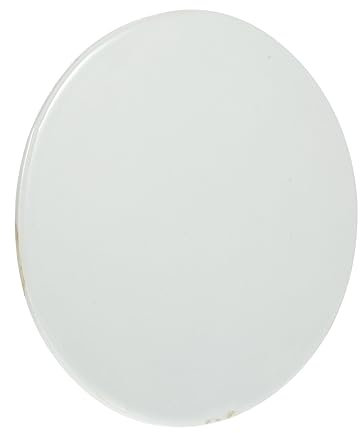 TOPPERFUN Plaque Céramique à Peindre Support Diy Créatif Céramique Blanche Art Personnalisé Main