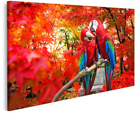 islandburner Tableau sur Toile Perroquets sur Branche dans Un Arbre à Feuilles caduques Rouge Cadre Affiche Poster Murale Tableaux