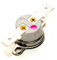 Termostato a Contatto originale Thermorossi 42°C per ECOTHERM codice 60010343