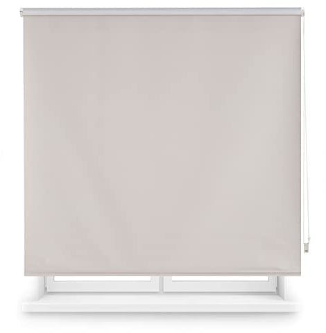 Blindecor Draco Tenda a rullo oscurante - Argento grigio, 160 x 230 cm (Larghezza x Altezza) | Dimensioni del tessuto 157 x 225 cm. Tende termiche oscuranti