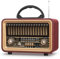 PRUNUS J-170 Bluetooth Radio Retro AM/FM/SW, Nostalgie Radio Klein mit 1800mAh Akku, Kofferradio Küchenradio mit lauter Sound, Unterstützt USB/TF/TWS Pairing, Einfaches Radios für Senioren.