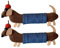 Xvilmaun Juego de 2 pinzas para el de perro salchicha, pinzas para el de perro salchicha, bonito clip lateral para flequillo, pinza de garra para perro, elegante, 10 cm, para mujeres,
