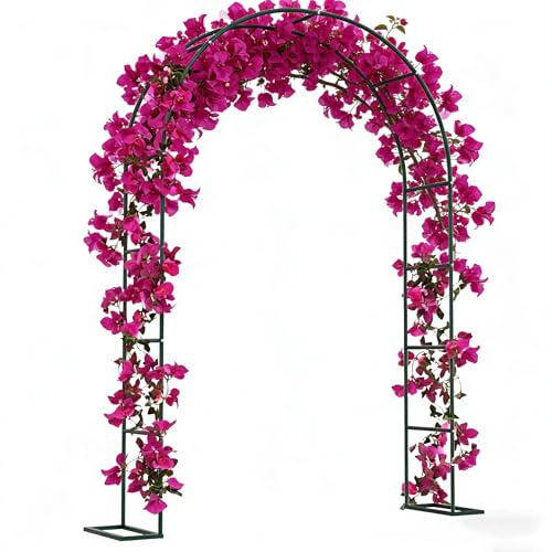 PEILU Archi per rose in metallo, 240 x 192 x 38 cm, per piante rampicanti, traliccio da giardino, per matrimoni, feste, feste (verde)