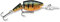 Rapala Unisex-Adult Angelzange RCD Mini Split Tool-Angelzubehör aus Edelstahl-Angelausrüstung für kleine Gebrochene Ringe-Leicht und Ergonomisch-Eingebauter Flaschenöffner Locken, Perch, 9cm