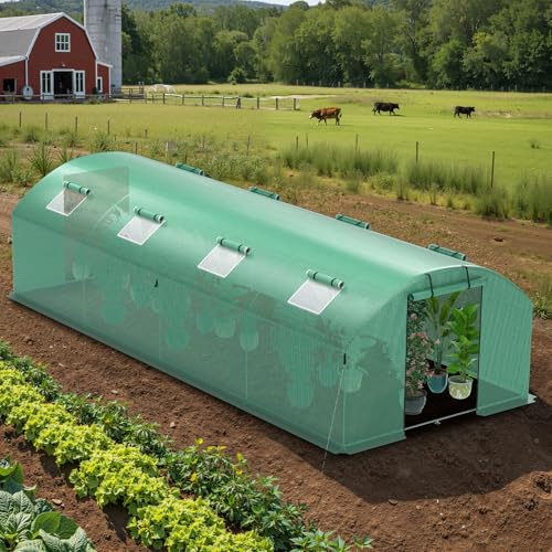 Yakimz Invernadero de 300 x 800 x 200 cm, invernadero para verduras con 6 ventanas y 2 puertas con cremallera, cubierta de polietileno UV50+ de 140 g/m². Perfecto para jardín y terraza