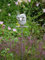 Manufaktur Lichtbogen Edelstahl Gartendeko Eule Mia Gartenstecker aus Edelstahl Steinvogel