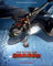 How to Train Your Dragon – The Hidden World - Retail Poster - cm. 30x40
