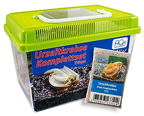 Triops longicaudatus (rot) Starterset: ca. 100 Urzeitkrebse Eier, 2,5 l Aquarium, Zubehör, Futter und Anleitung