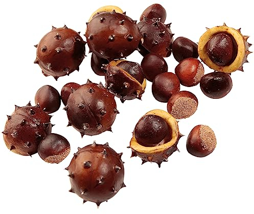 Deco Woerner Kastanien Lebensmittelattrappe Fakefood Streudeko Herbstdeko 22 Stück im Netz