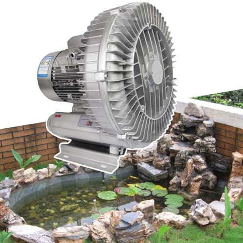 DSeenLeap Bomba sopladora de Aire Vortex de 380 A, 50 Hz, 4000 W/5500 W/7500 W, soplador de Anillo Vortex de Alta presión, Bomba de vacío Industrial, para estanques de acuicultura (4000 W)