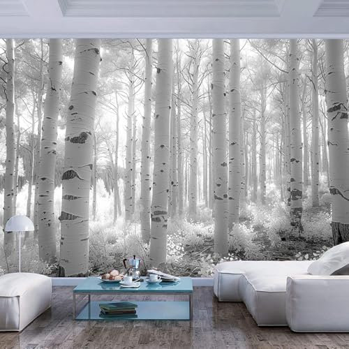 Premium Fototapete Schwarz weißer Birkenwald Tapete Wandtapete Dekorfolie Tapetenfolie Wand Dekoration Wandaufkleber Wohnzimmer