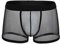 Dasongff Herren Boxer Shorts Weiche Unterhosen Durchsichtige Boxershorts Sexy Unterwäsche Trunk für Männer Transparent Netz Autmungsaktiv Sportunterhose