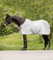 Waldhausen Regen-Fliegendecke Protect, Silbergrau/grau, 115 cm