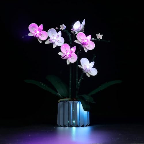 Kit d'éclairage LED pour Lego 10311 – pour Orchid modèle Lumières personnalisées à Assembler soi-même (modèle Non Inclus)
