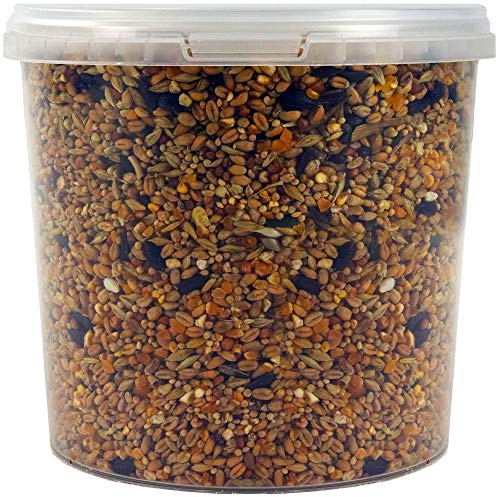 SQUAWK Four Seasons Pigeon Corn | Premium Grade Natural Food Mix | Rich in Nutritious Oils, Vitamins and Minerals | Perfect Year-Round Wild Bird Seed Feed | High in Protein, Energy & Fibre (2.5L Tub)
