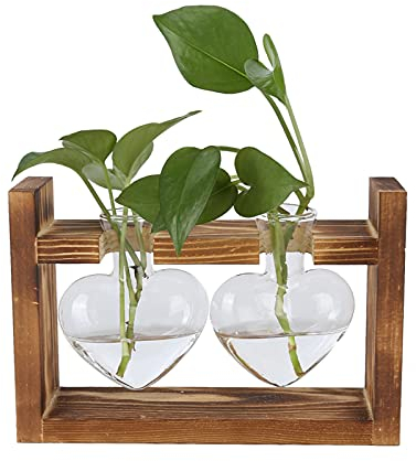 Herzförmige Glasflasche, Innovativer Blumentopf mit Vintage Holzrahmen Transparente Tischvase Dekoration(Vintage-Rahmen + 2 Herzflaschen)