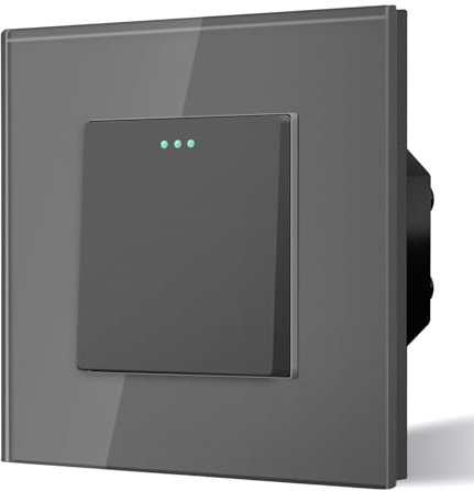 BSEED Rocker Tactile - Interruttore per lampada da parete, 10 A, telaio in vetro grigio, piastra di cristallo, 1 marcia, interruttore a vite a 2 vie, senza vite