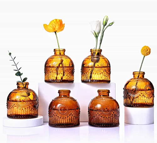 Eidoct Glass Bud Vases Set of 6, Glass Flower Vases Small Bottles for Floral Arrangements, Rustic Decorative Floral Vases for Centerpiece Home Living Room Office Decoration or Wedding Event (Brown E)
