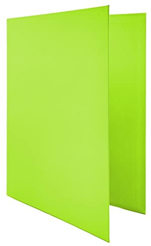 Raylu Paper® - 4 x D-Ringbuch 25 mm, A4-Ordner mit Ringen zur Aufbewahrung von Dokumenten, A4 Größe 33,5 cm hoch x 26 cm breit und 4 cm dicker Rückenlehne (Hellgrün)