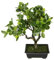 Bonsai Baum in Schale Kunstbonsai Kunstbaum Dekobaum künstlich Japanische Kunstpflanze Grünpflanze Dekobaum wie echt groß Deko Pflanze Pflanzendekoration Bonsaischale exotische Bäume Zen Garten
