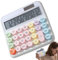 El ordenador del Botón de cálculo de la Calculadora de la Tabla, Pantalla de Doce Dígitos, Pantalla de inclinación LCD, Pantalla de Color para la Visión General | Computadora con Un inclinado