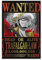 Anime-Poster One Piece Wanted, Trafalgar Law Poster, coole Kunstwerke, Malerei, Wandkunst, Leinwanddrucke, hängende Bilder, Poster, 30 x 45 cm