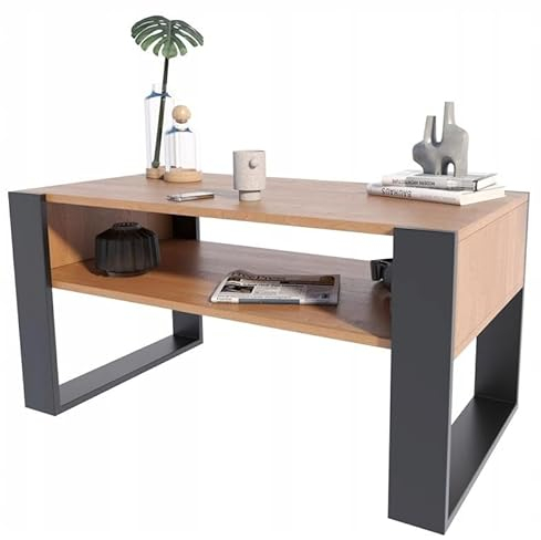 MATKAM Couchtisch KAJA H50 x B100 x T53,6 cm Loft Retro, offene Ablage unter der Tischplatte, Kufenbeine (Erle-Schwarz)