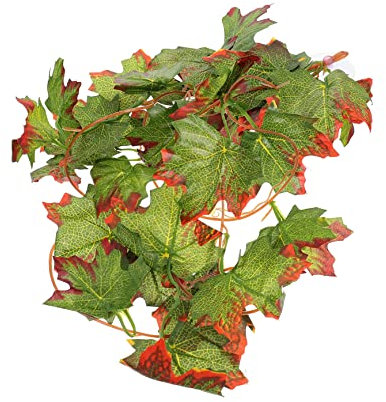 INOOMP 5pièces Terrarium Décor Réptile avec Artificielles Plantes Imitées pour Habitat De Et Décoration De Terrarium Modèle