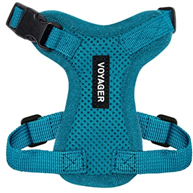 Voyager Step-in Lock Katzengeschirr und reflektierende Katzenleine mit Neoprengriff by Best Pet Supplies - Unterstützt kleine, mittelgroße und große Katzenrassen, Türkis, size XXXS - 1,5 m