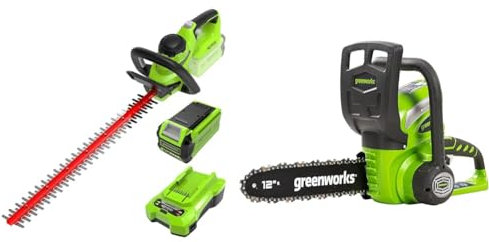 Greenworks G40HT61K2, Taille-Haie à Batterie, Lames Double Action 61 cm & G40CS30 Tronçonneuse à Batterie, Longueur du Guide-Chaîne de 30 cm