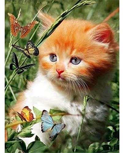 YJPZZG 2000 Stück Holzpuzzle Katze Bunte Puzzles FüR 14-JäHrige Erwachsene, Perfekt FüR Weihnachten Fertige Größe 99×70cm