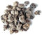 Real Aquatics Aquarium & Pond Filter Media ALFAGROG Ultra Porous Ceramic Stone Rocks for Fish Tank Filters 2kg