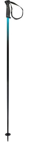 HEAD Unisex-Adult Frontside Black Speed blu Skistöcke, 110
