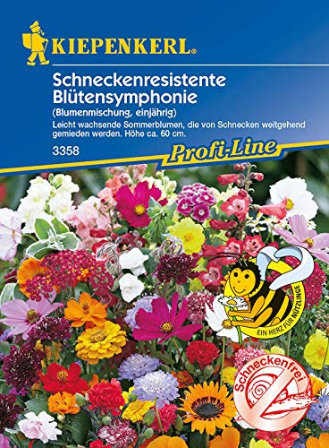 Schneckenresistente Blütensymphonie