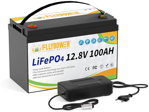 Batería LifePo4 de 12V 100Ah con BMS para Pesca por curricán Motor Solar RV Electrodomésticos Marinos Carrito de Golf Reserva de energía Fuente de alimentación Incluye Cargador de 7A