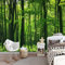 Papier Peint Panoramique Forêt Verte, 400 x 280 cm Papier Peint Intissé Arbres Verts Des Bois Personnalisé Photo Murale pour Salon Chambre d'enfants restaurant Appartement Décoration Murale