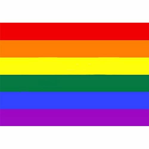 Drapeau arc-en- - Drapeau de la fierté droite, Drapeau de la fierté trans, Drapeau de la fierté bi, Drapeau pansexuel, Drapeau non binaire, Drapeau de la fierté du progrès | Drapeau LGBT 3x2 pieds