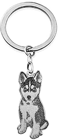 Junmei Personnalisé Keychain de Photo d'animal familier, Porte-clés en Acier titanique de Portrait gravé par Coutume pour Le Cadeau de fête des pères commémoratif